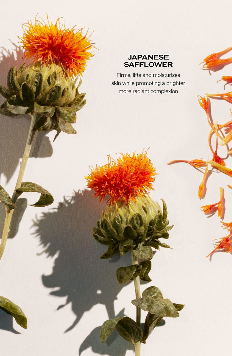 Shiseido Uplifting & Firming Trio $322 Value, Alternate, color, 