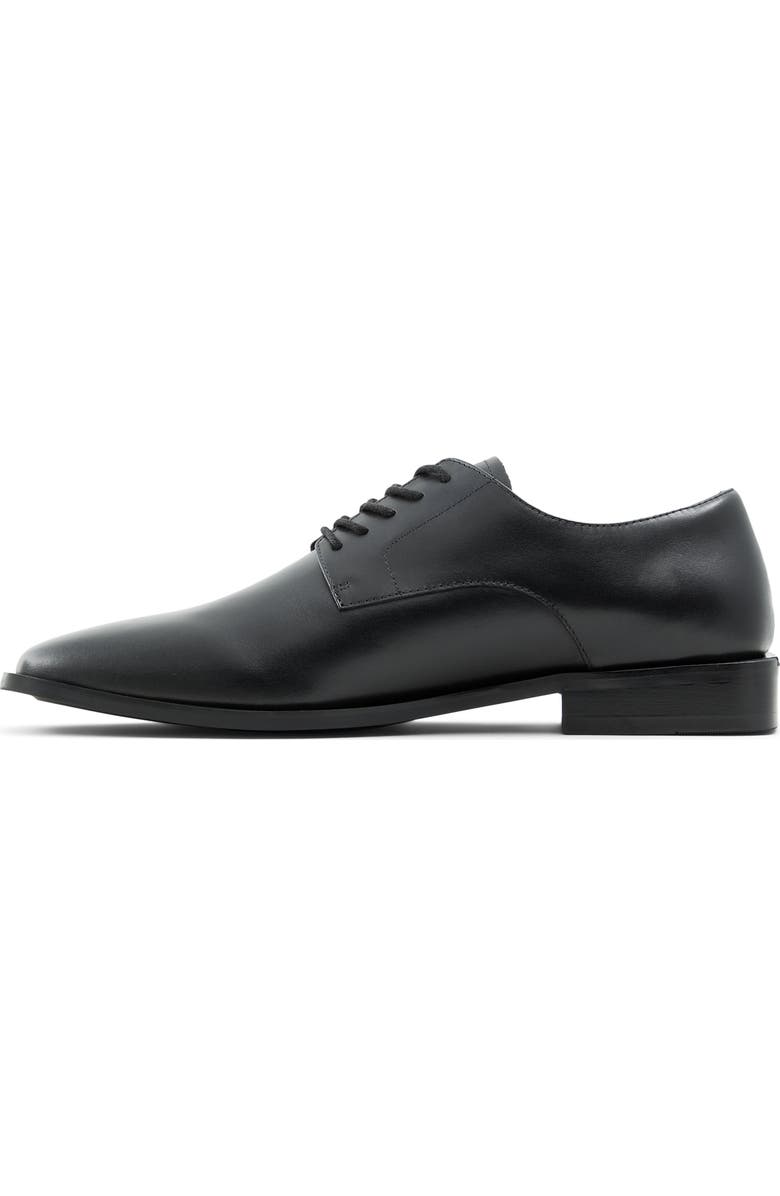 ALDO Dedovo Derby, Alternate, color,