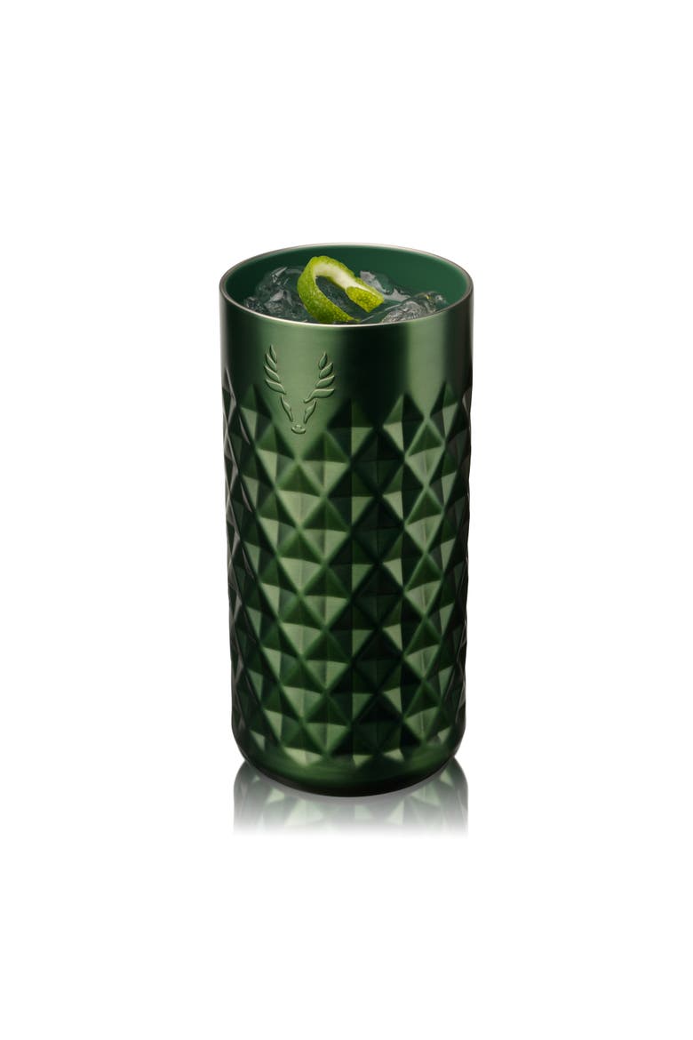 Paragon Stainless Steel Highball Tumbler, Alternate, color, Satin Green