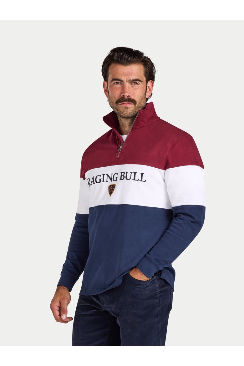 Cut & Sew Quarter Zip Sweatshirt, Main, color, Navy/Red