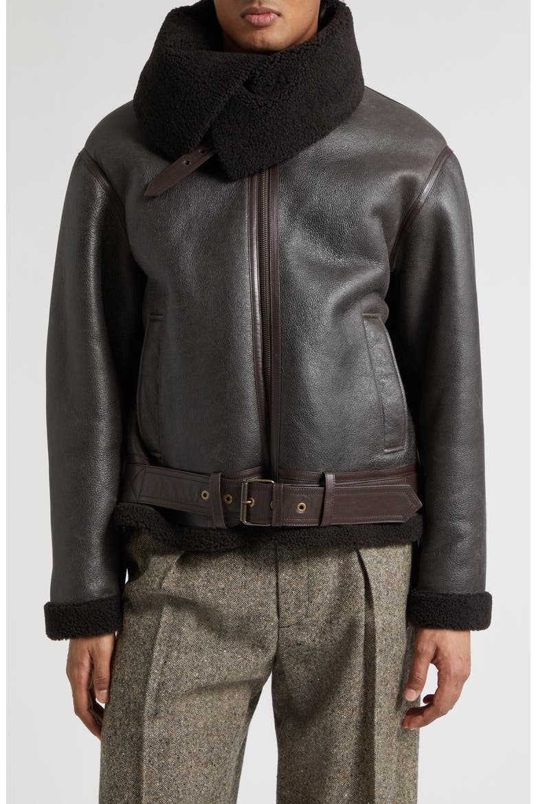 Belted Lambskin & Genuine Shearling Aviator Jacket, Alternate, color, CHOCOLATE BROWN/ BROWN