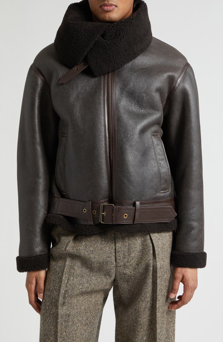 JW Anderson Belted Lambskin & Genuine Shearling Aviator Jacket, Alternate, color, Chocolate Brown/ Brown