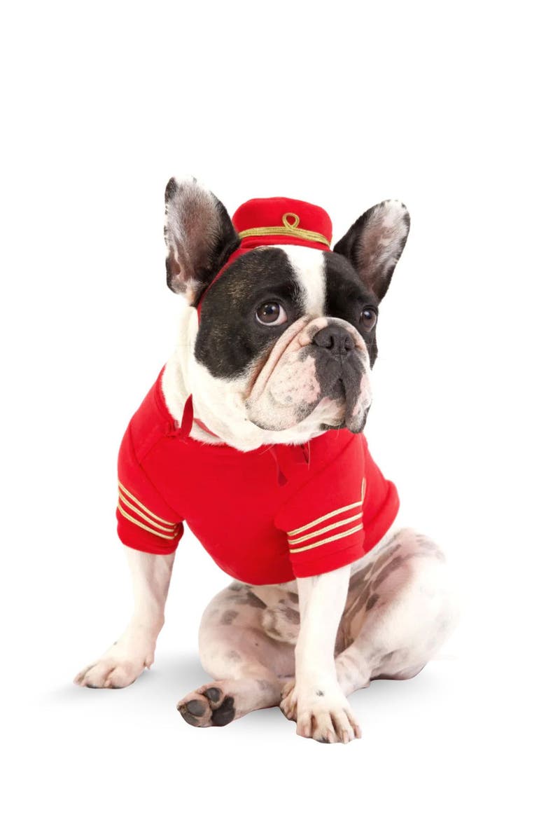 Moshiqa Empire Dog Sweatshirt, Main, color, Red