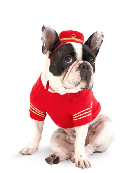 Empire Dog Sweatshirt