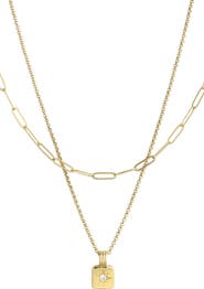 Adornia Set of 2 Assorted Chain Necklaces