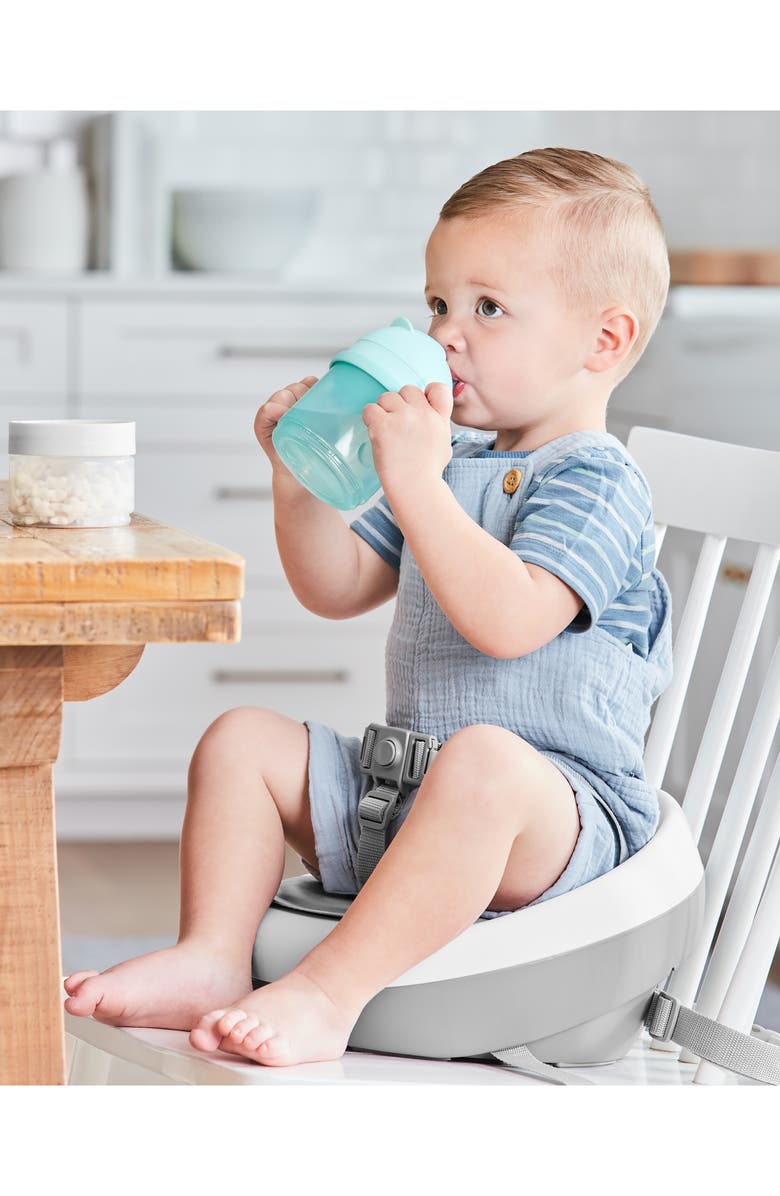 Skip Hop 2-in-2 Sip Cup Set, Alternate, color, 