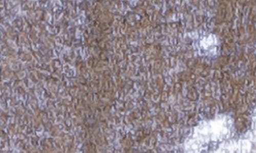 Flying Tomato Halter Neck Ruffle High-low Top In Gray