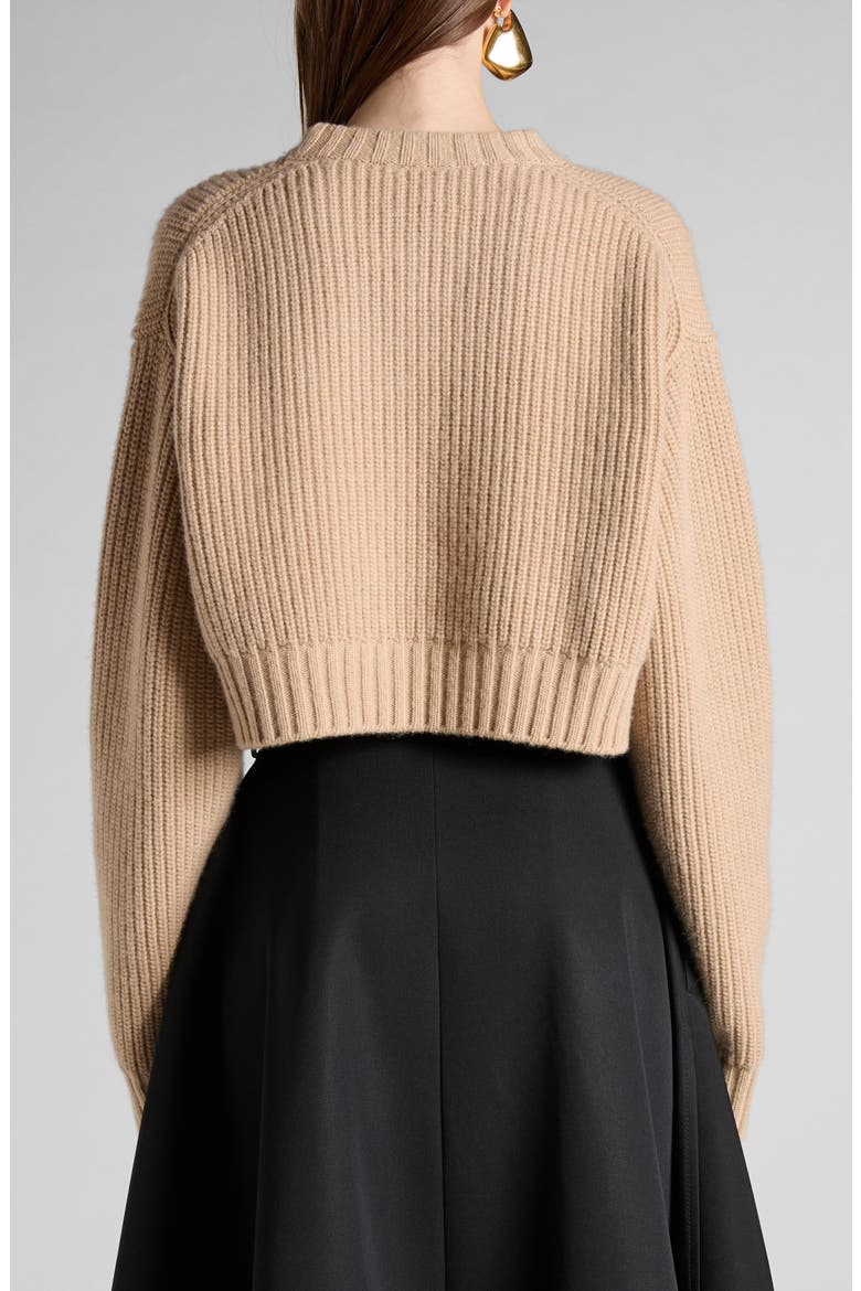 Oversize Wool & Cashmere Rib Crop Sweater, Alternate, color, 9734 DESERT