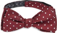 CLIFTON WILSON Polka Dot Silk Bow Tie