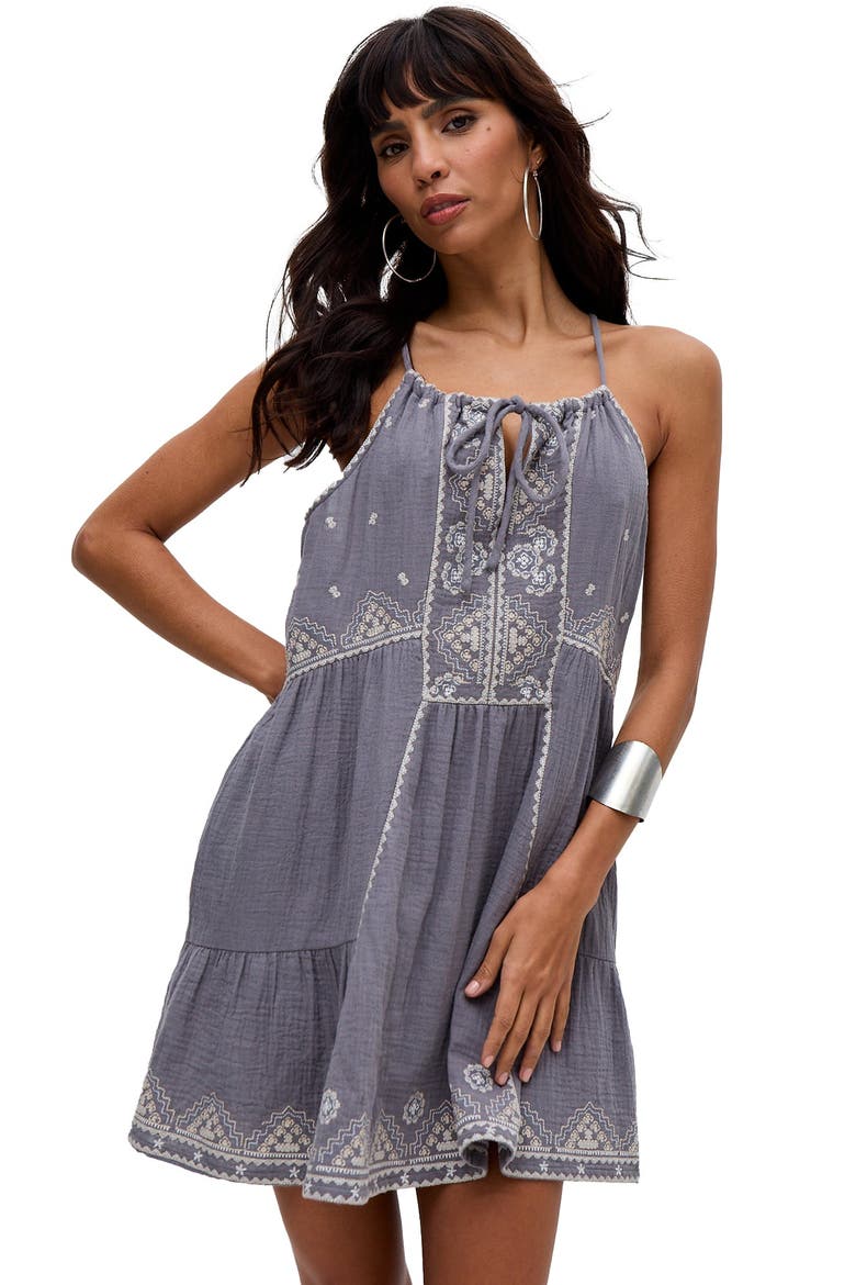 Jen Tiered All Over Embroidered Mini Dress, Alternate, color, Grey