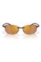  Matte Tortoise / Gold