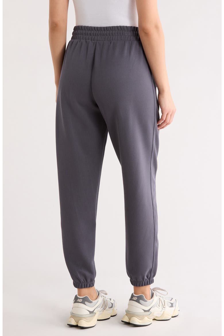 Rib Mid Rise Joggers, Alternate, color, TURBULENCE
