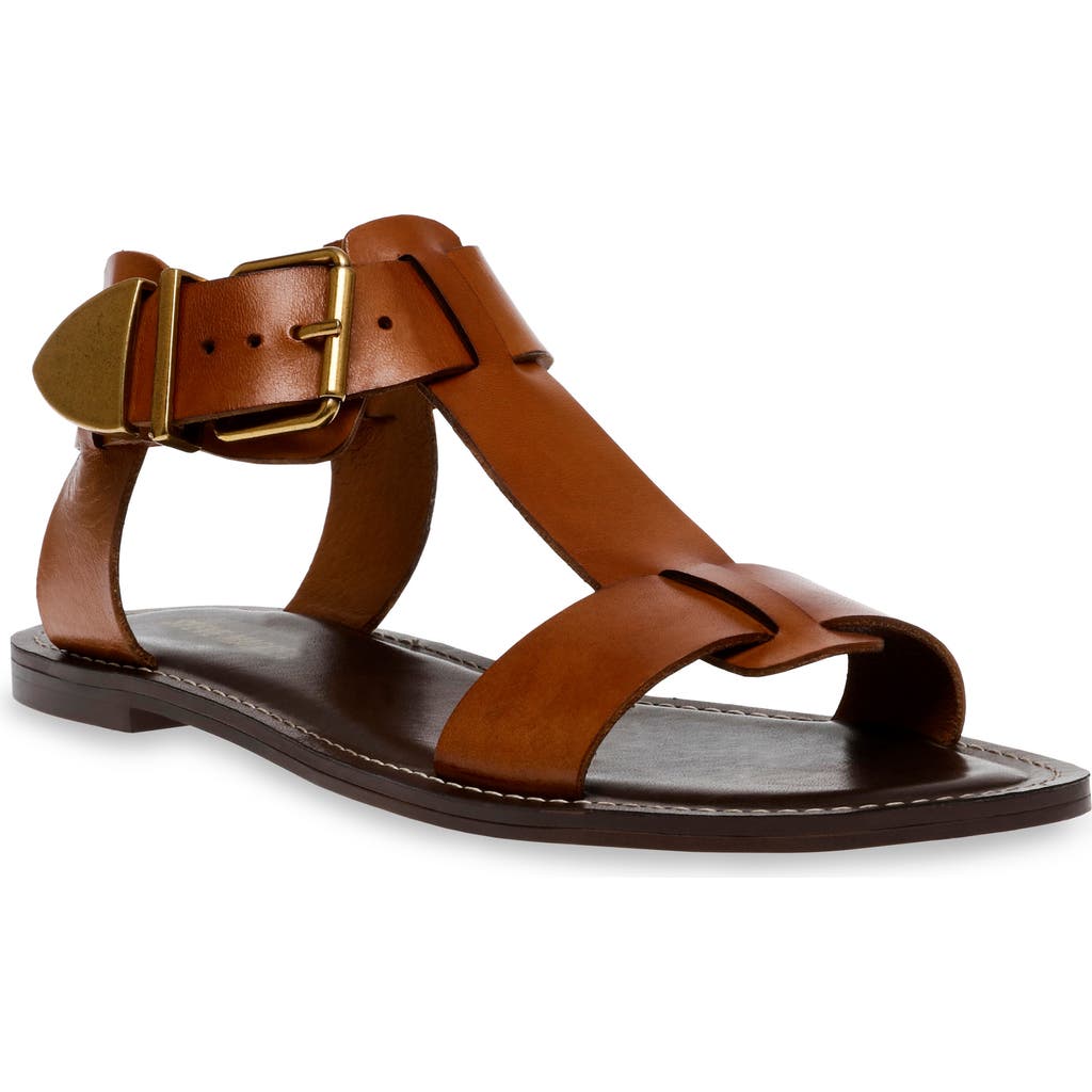 Steve Madden Brazinn Gladiator Sandal In Brown