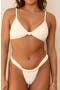  Gardenia Seashell