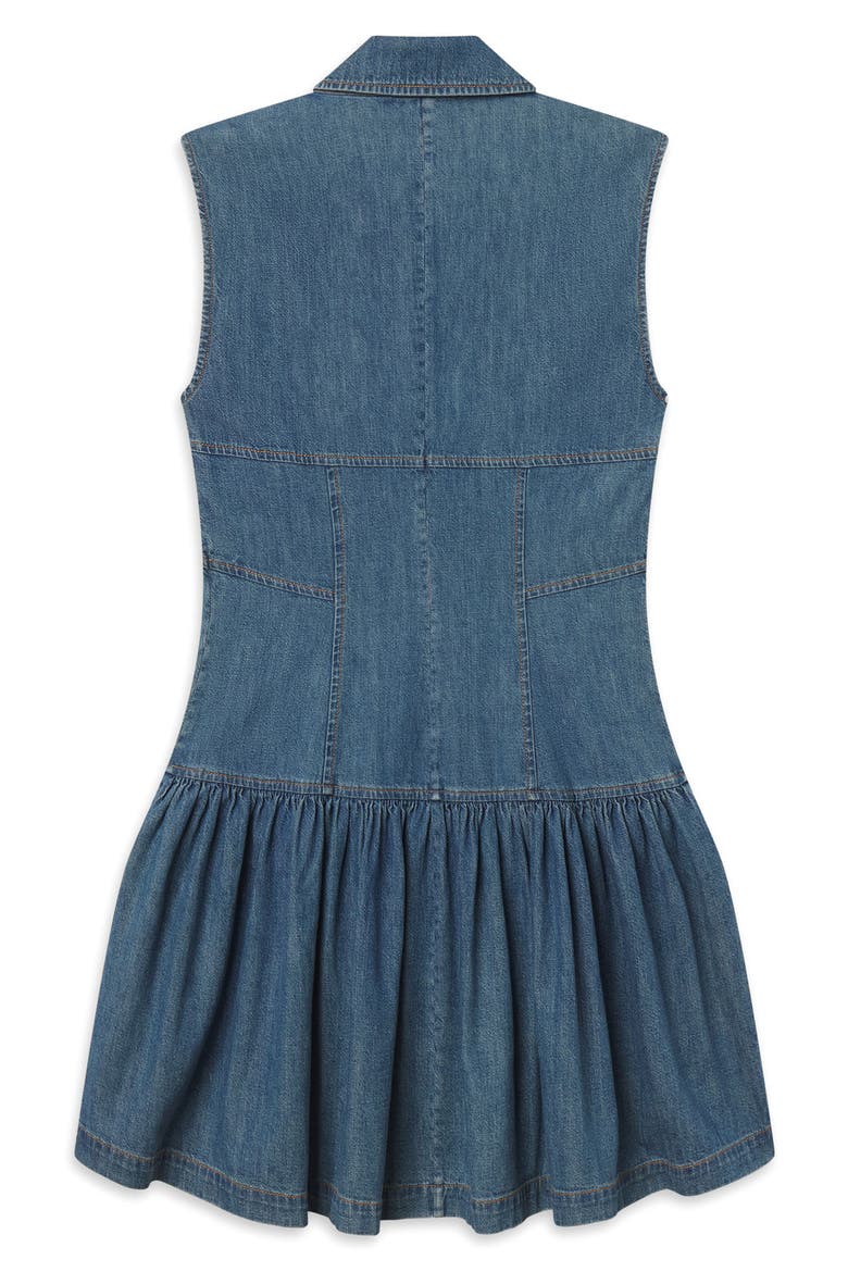 The Denim Day Sleeveless Minidress, Alternate, color, DEIRA
