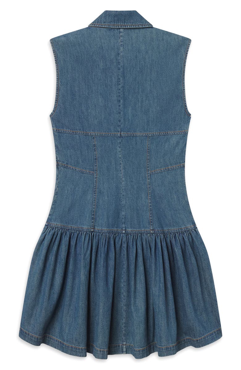 FRAME The Denim Day Sleeveless Minidress, Alternate, color, Deira