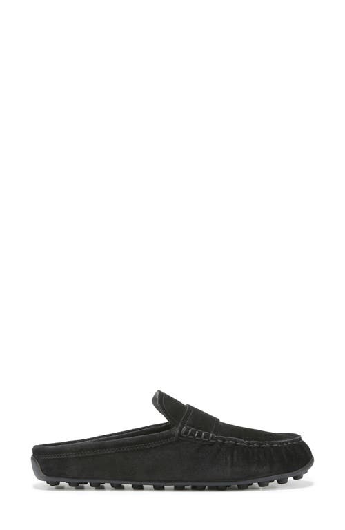 Vince Berkley Driving Mule In Black