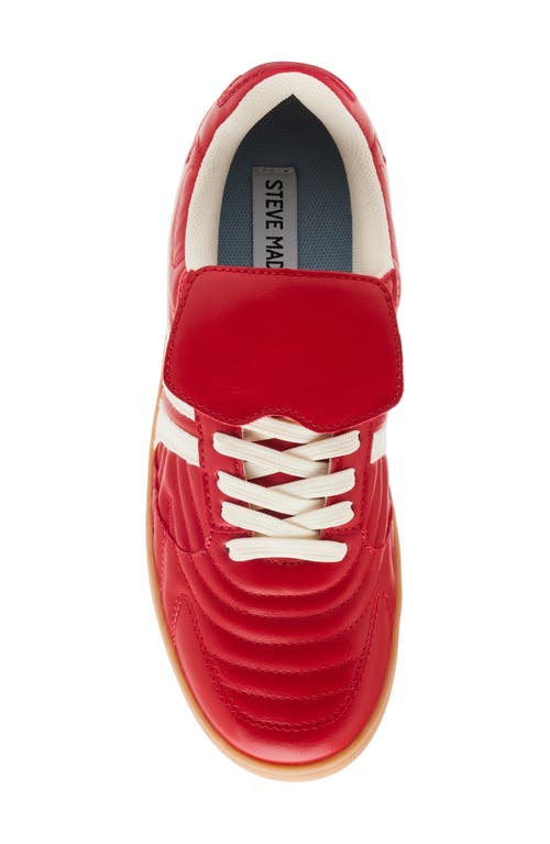 STEVE MADDEN STEVE MADDEN MADRID LOW TOP SNEAKER