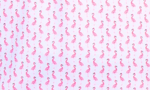 TAILORBYRD TAILORBYRD FLAMINGO PRINT PERFORMANCE POLO