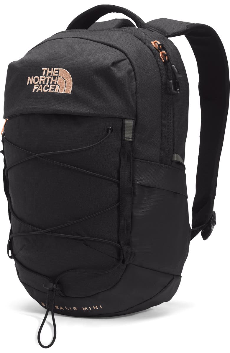 The North Face Borealis Water Repellent Mini Backpack, Alternate, color,