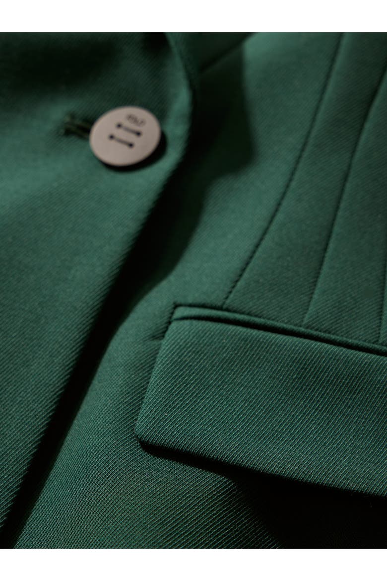 Clever Wool Blend Romano Jacket, Alternate, color, Green