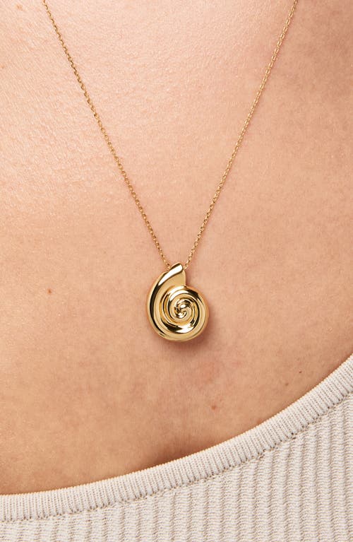 Ana Luisa Shell Necklace In Gold
