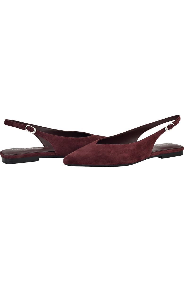 Calvin Klein Galiana Slingback Pointed Toe Flat, Alternate, color, Dark Red