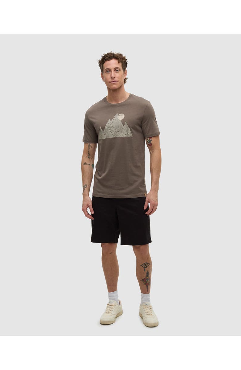 tentree Peak T-Shirt, Alternate, color, Timber/Creek Stone