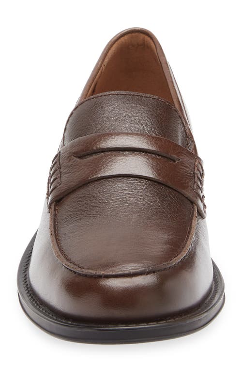 Steve Madden Draggo Penny Loafer In Brown