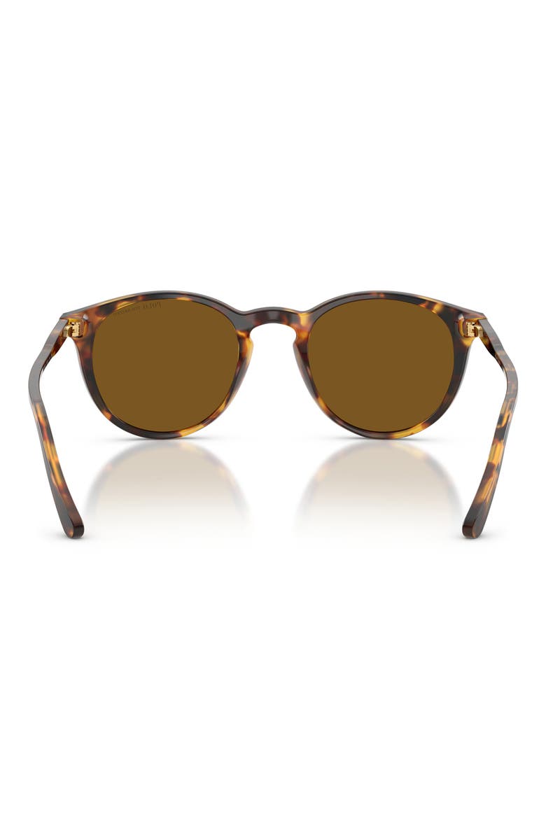 50mm Polarized Phantos Sunglasses, Alternate, color, SHINY ANTIQUE HAVANA / BROWN