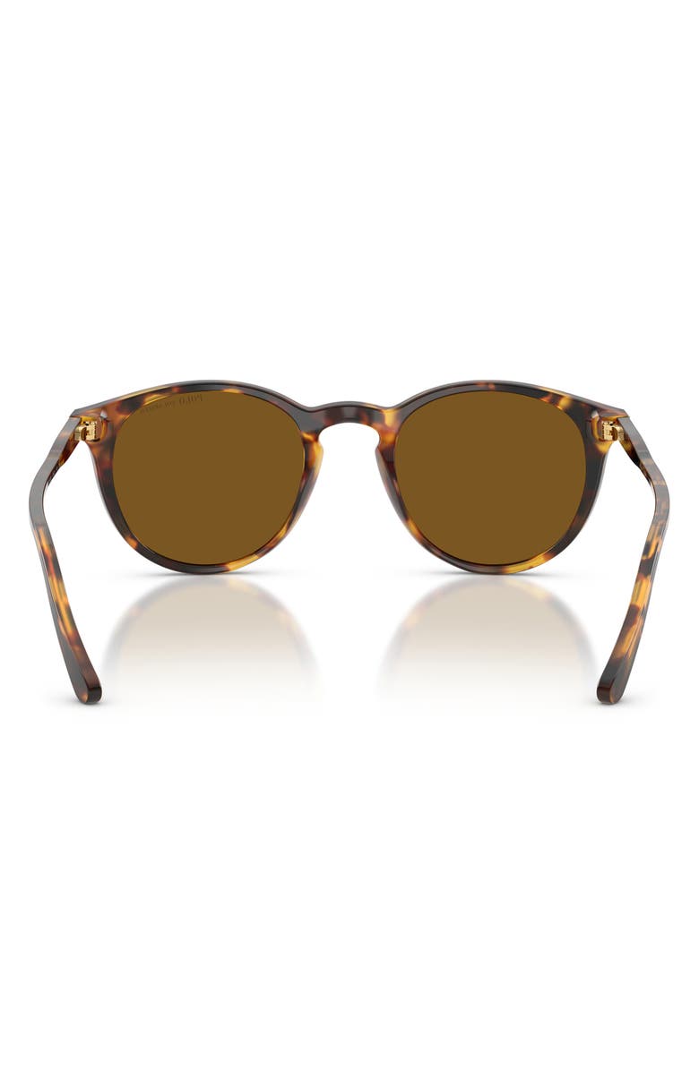 Polo Ralph Lauren 50mm Polarized Phantos Sunglasses, Alternate, color, Shiny Antique Havana / Brown