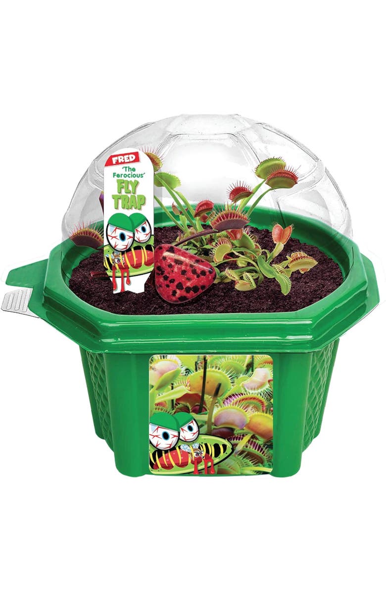Toys By Nature Venus Flytrap Plant Kit, Main, color, NO COLOR