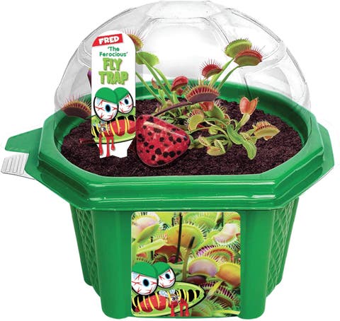 Venus Flytrap Plant Kit