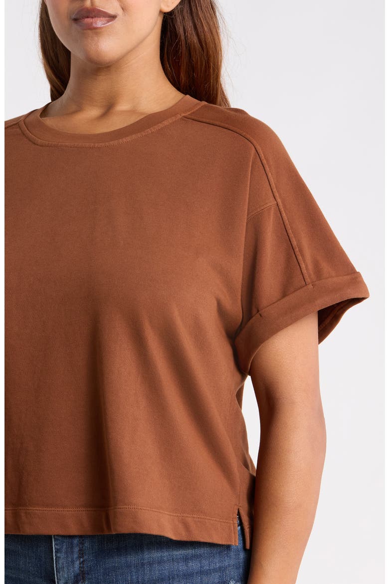 Brie Boxy Sweatshirt, Alternate, color, TAWNY