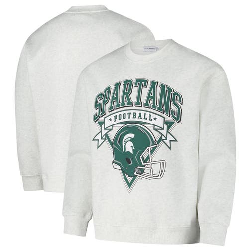 Established & Co. Unisex Ash Michigan State Spartans Vintage Crest Pullover Sweatshirt In Gray