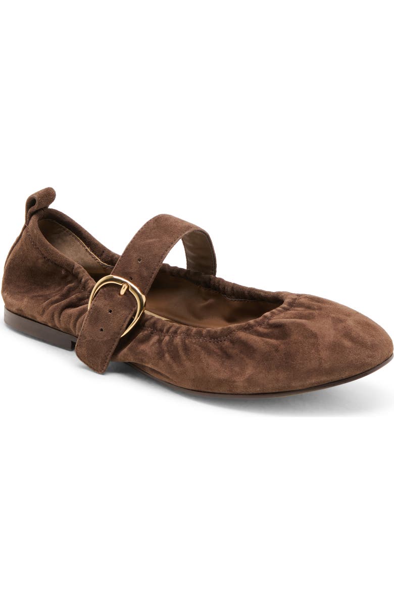 Dolce Vita Caely Mary Jane Flat, Main, color, Dk Brown Suede