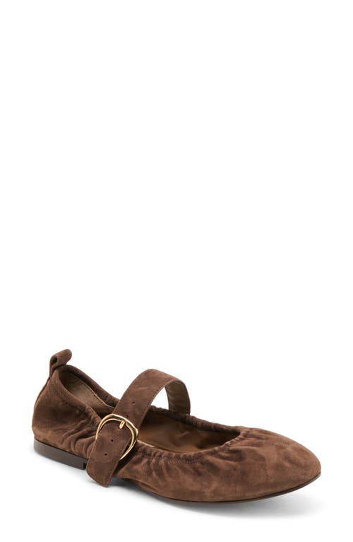 Dolce Vita Caely Mary Jane Flat In Brown