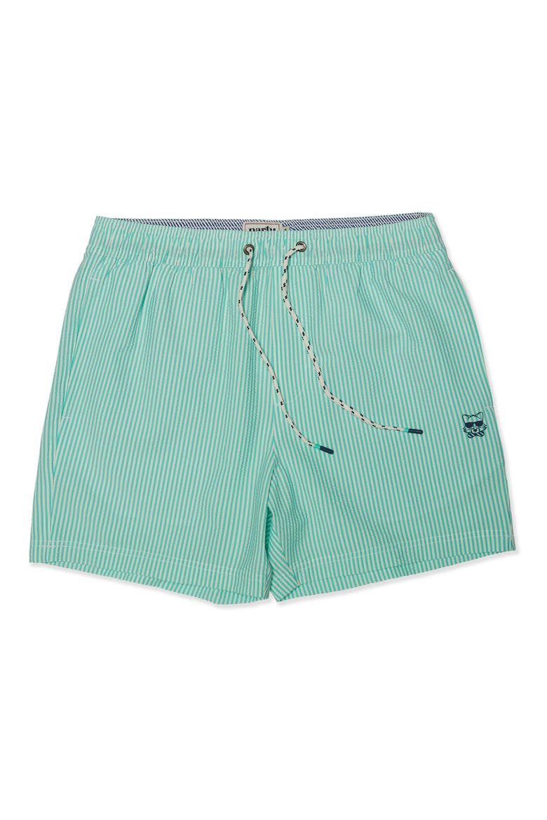 Stripe Party Starter Lined 5-Inch Swim Trunks, Main, color, ARUBA BLUE