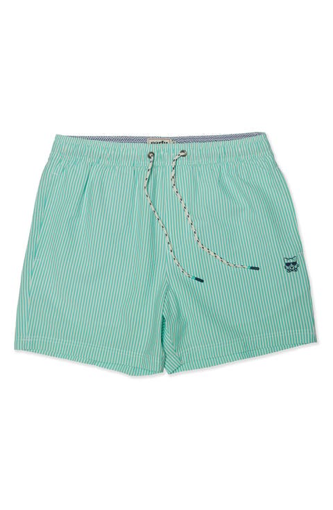Stripe Party Starter Lined 5-Inch Swim Trunks