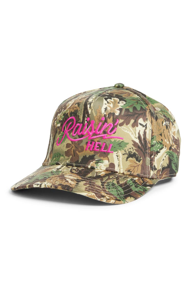 Raisin' Hell Baseball Hat, Main, color, CAMO