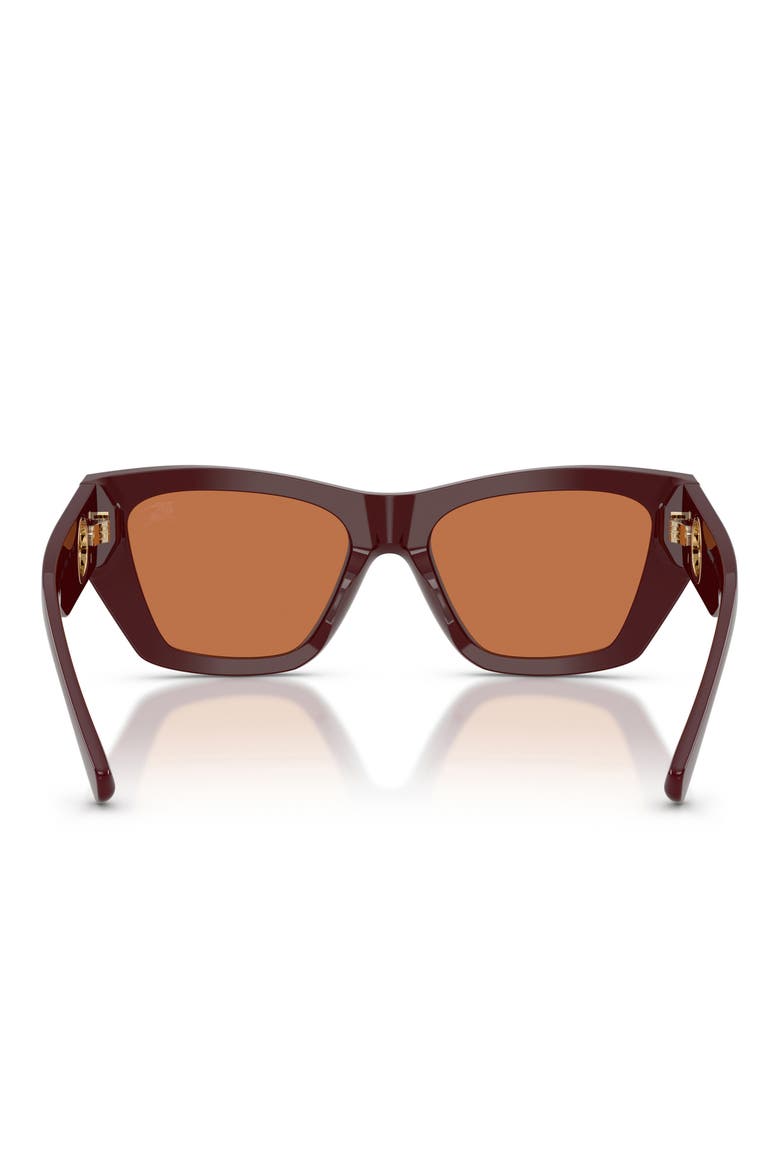 54mm Cat Eye Sunglasses, Alternate, color, BORDEAUX / BROWN