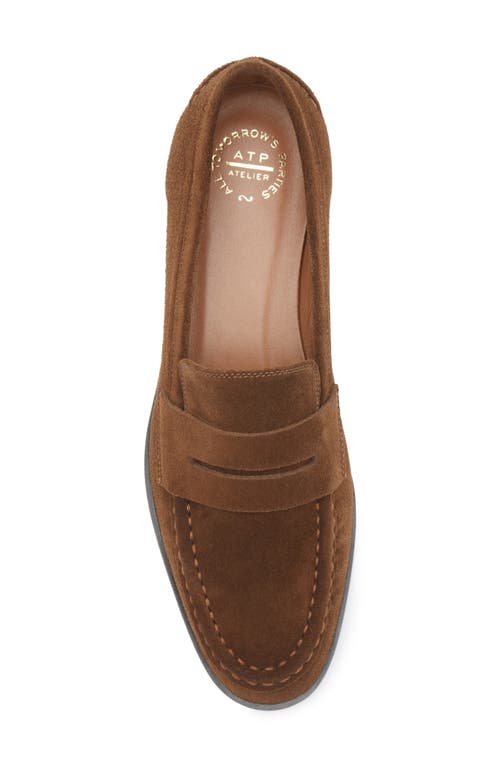 Atp Atelier Airola Penny Loafer In Cannella
