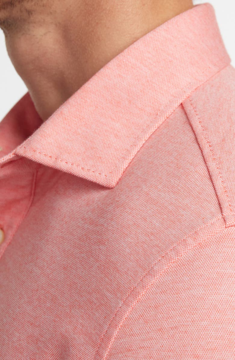 David Donahue Connery Cotton Polo, Alternate, color, Grenadine