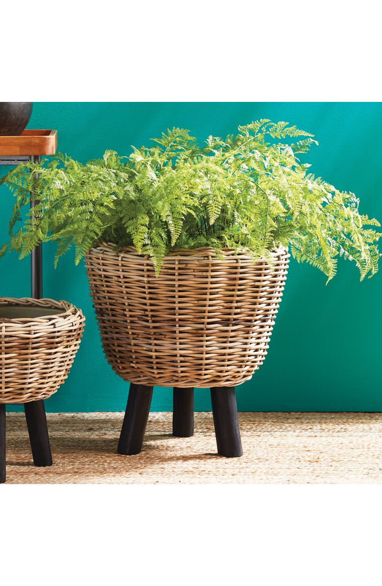 Napa Home & Garden Soft Fern Drop-In 36", Alternate, color, Green