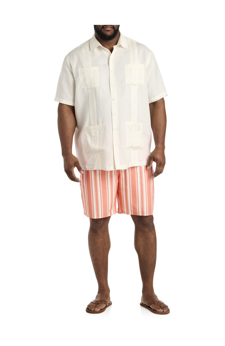 True Nation by DXL Big & Tall Cabana Stripe Swim Trunks, Alternate, color, 