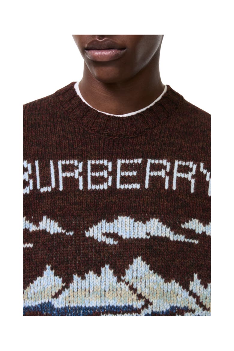 Alpine Wool Sweater, Alternate, color, Brown