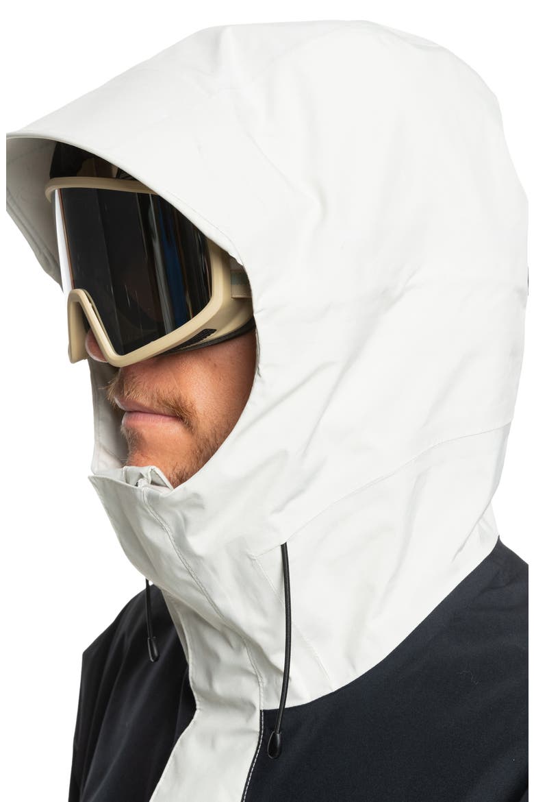 High Altitude Gore-Tex® Snow Jacket, Alternate, color, BIRCH