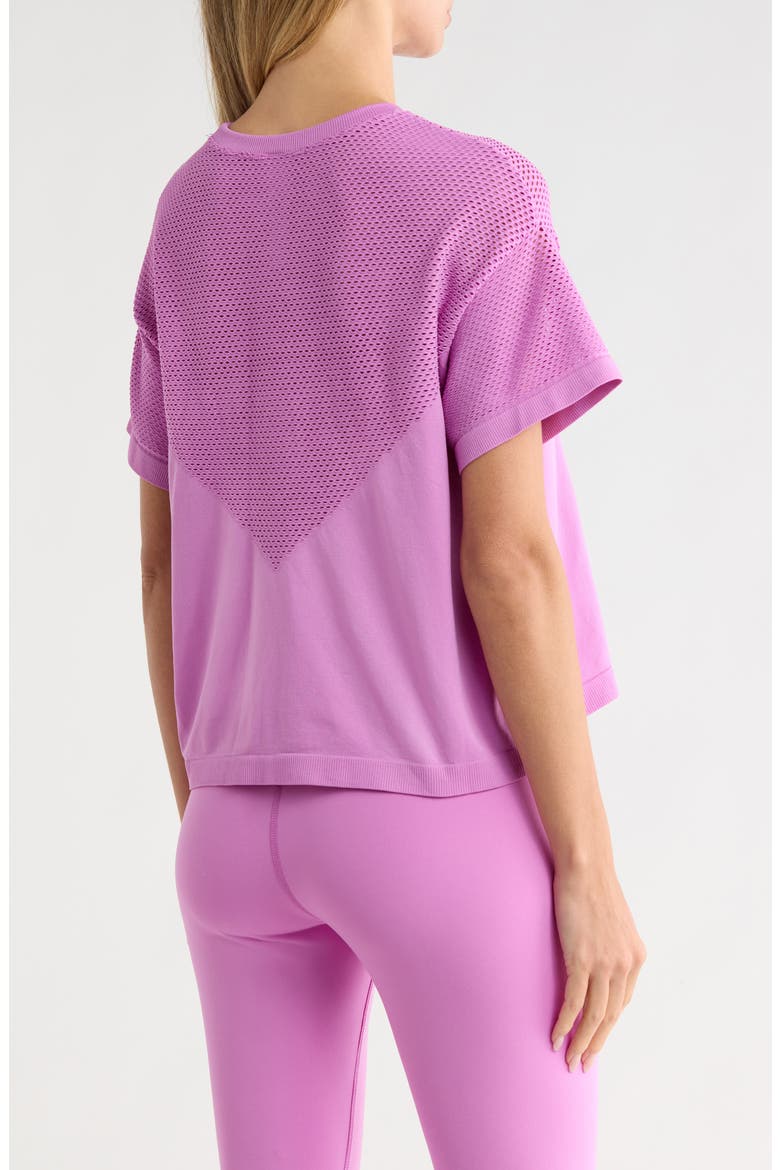 Seamless Net Worth Boxy T-Shirt, Alternate, color, PINK BLOOM