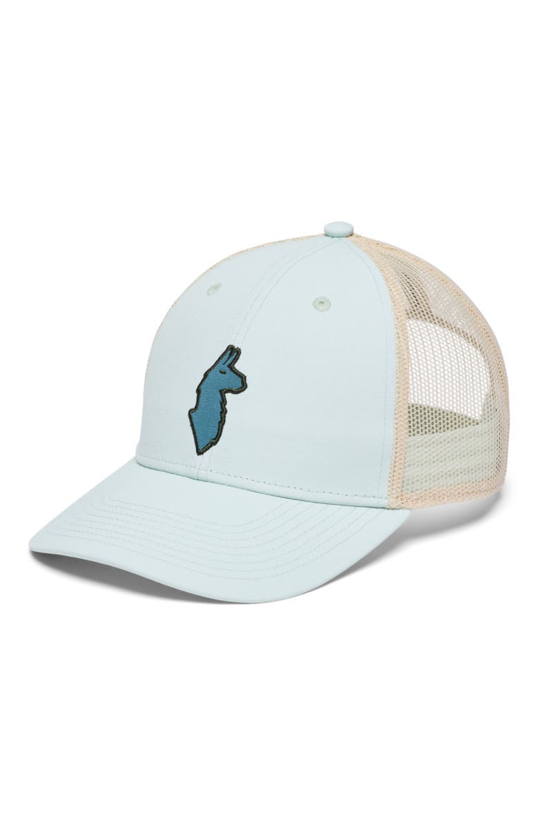 Cotopaxi Llama Trucker Hat, Main, color,