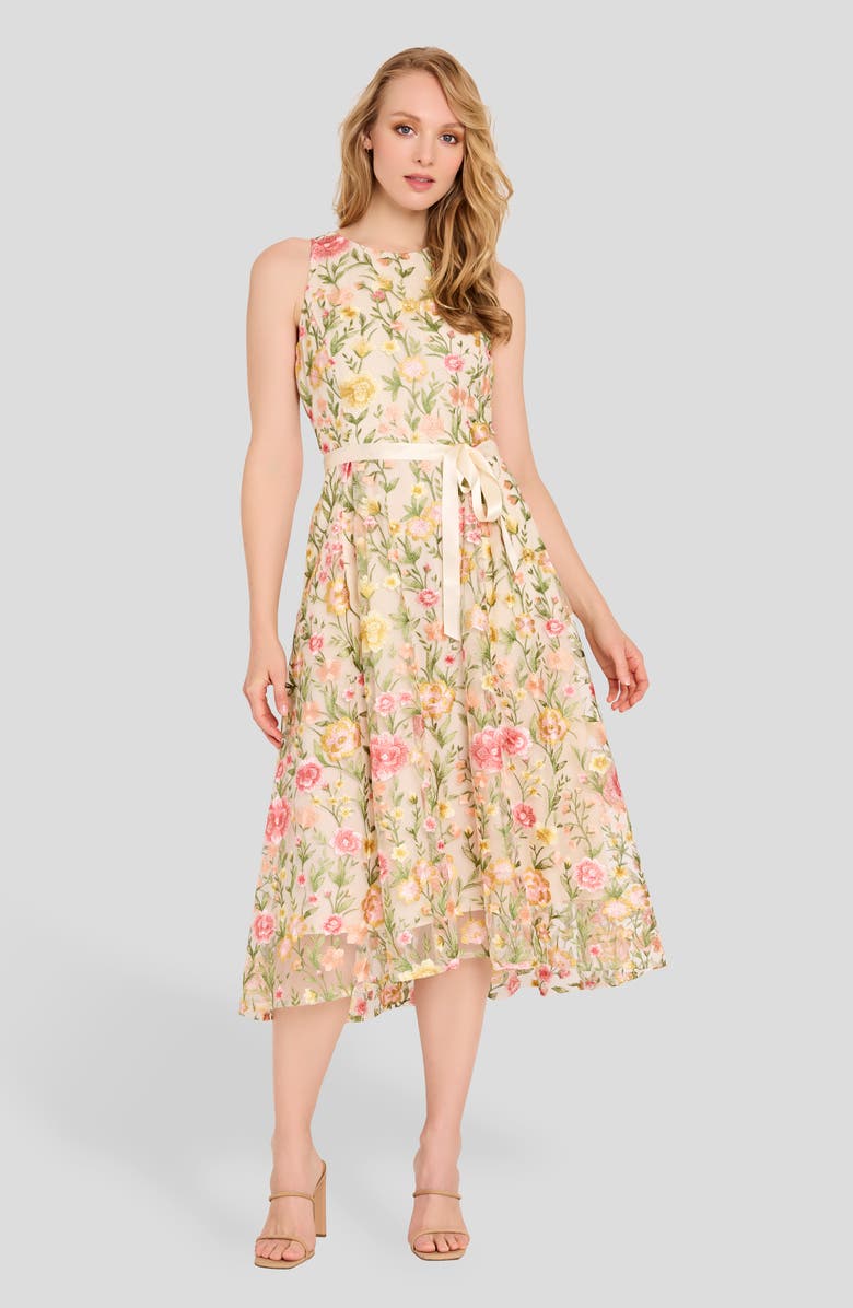 Tahari ASL Embroidered Sleeveless Midi Dress, Alternate, color, Buttercup Multi